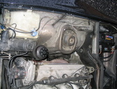 IMG 0612