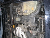 IMG 0613