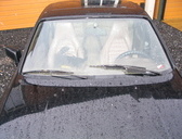 IMG 0614