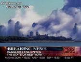 legalizednyc