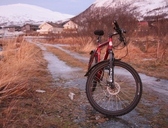 frozen bike