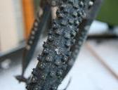 spikey01
